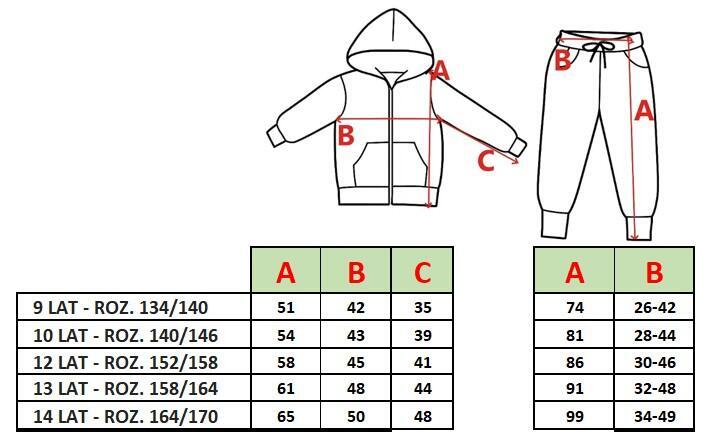 Dres Chłopięcy 3-Częściowy Szary – Bluza, Spodnie, Koszulka (9)